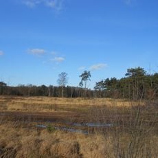 Ten Haagdoornheide