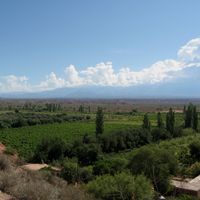 Dipartimento di Coronel Felipe Varela