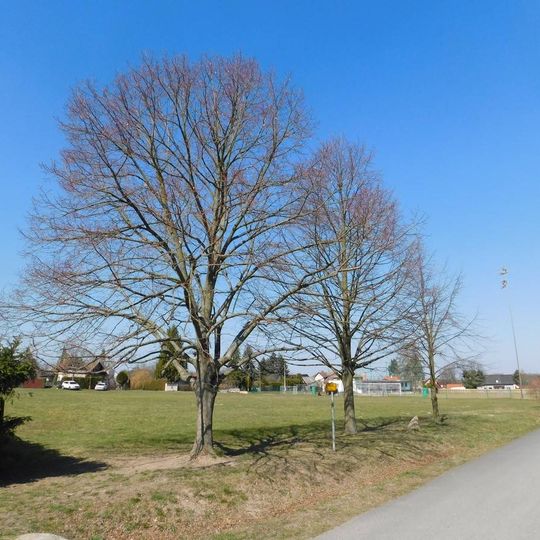 Památné lípy - pomník Sametové revoluce, odchodu sovětských vojsk a vstupu České republiky do EU v Louňovicích