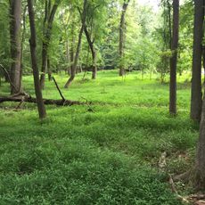 Greenbelt Park