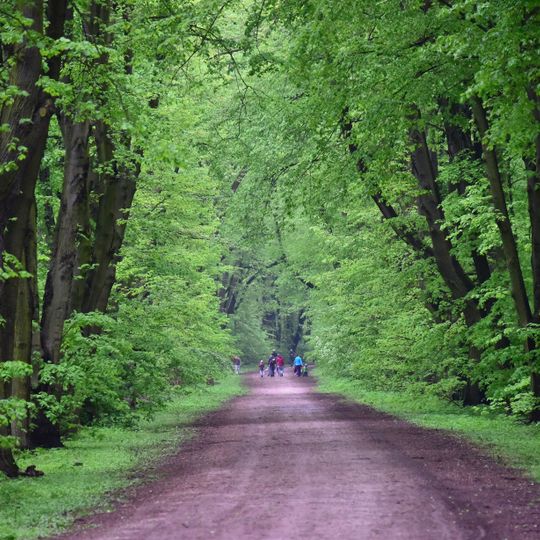 Park Młociński w Warszawie