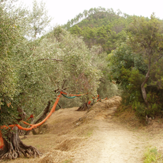 Monte Castello
