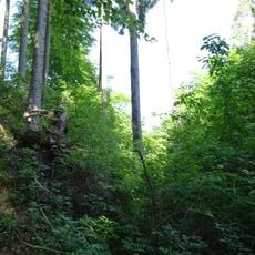 Burgstall Stumpfbühl