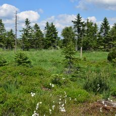 Schwarze Heide - Kriegswiese