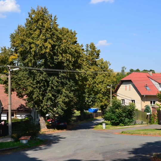 Olešná