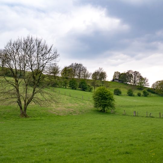 Heckenlandschaft südlich Kohlstädt