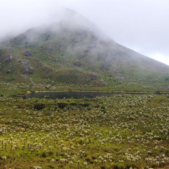 Parc national naturel de Chingaza