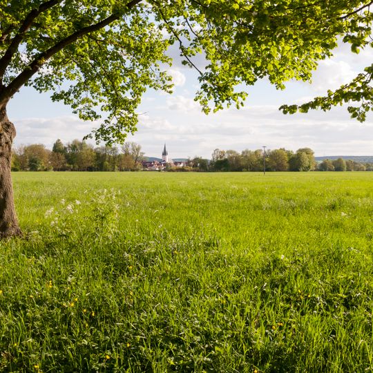 Saalewiesen zwischen Bad Neustadt und Salz