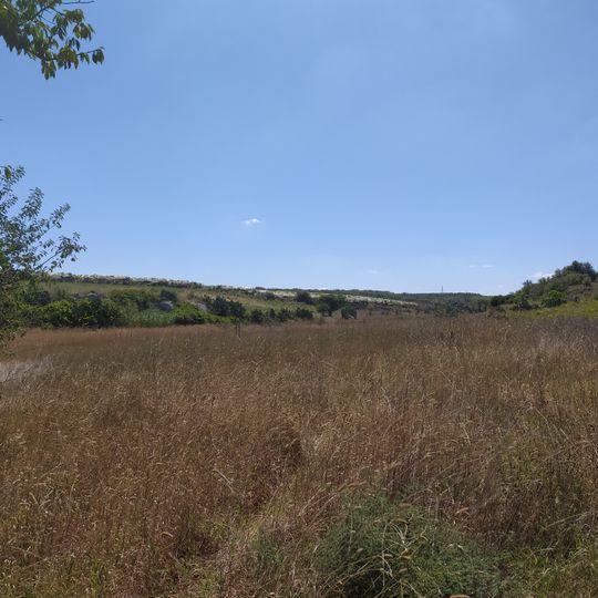 Oasi WWF Gioacchino Carone