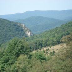 斯普鲁斯山