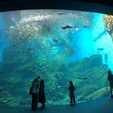 Sendai Umino-Mori Aquarium