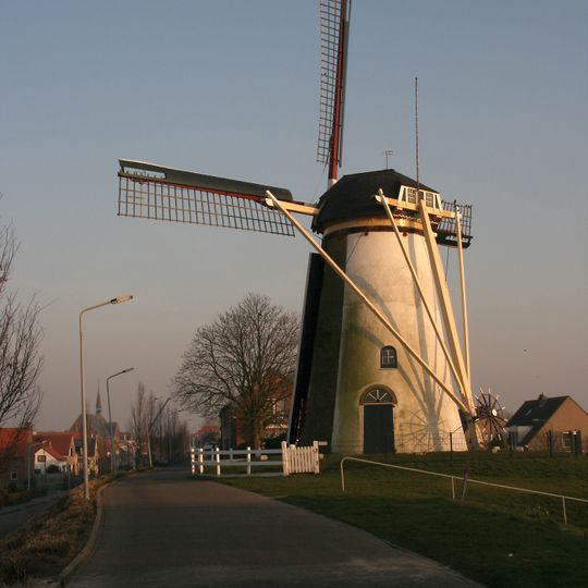 De Korenbloem