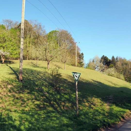 Halbtrockenrasen in den Gewannen Schildwache und Spitalholz