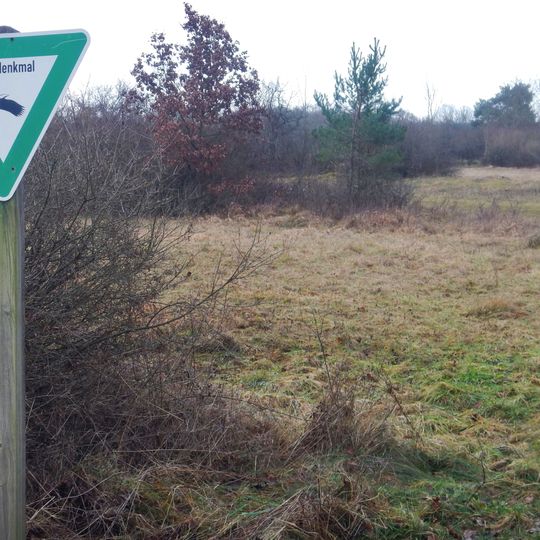Halbtrockenrasenfläche Oberer Käppelesberg