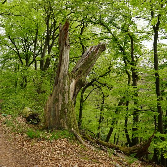 Saarsteilhaenge am Kaiserweg
