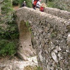Pont de Salgueda