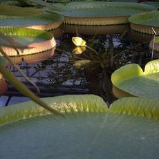 Parco nazionale dell'Islas de Santa Fe