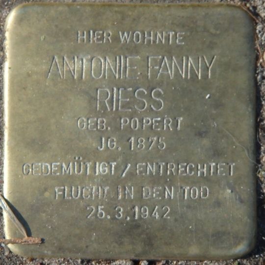 Stolperstein dedicated to Antonie Fanny Riess