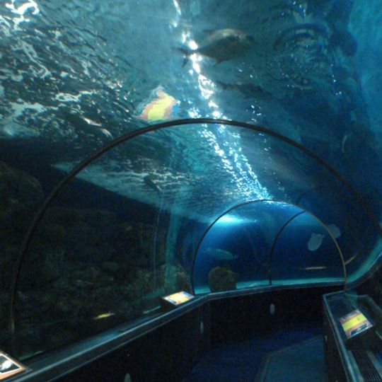 Sea Life at Mall of America