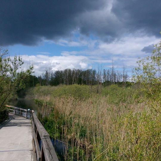 Eichwerder Moorwiesen