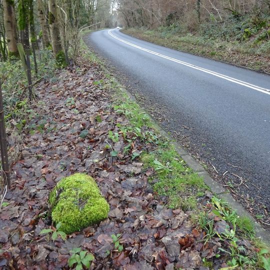 Milestone, Clifferdine Wood
