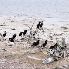 Gravel Island National Wildlife Refuge