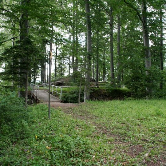 Ruine Hohenlandenberg