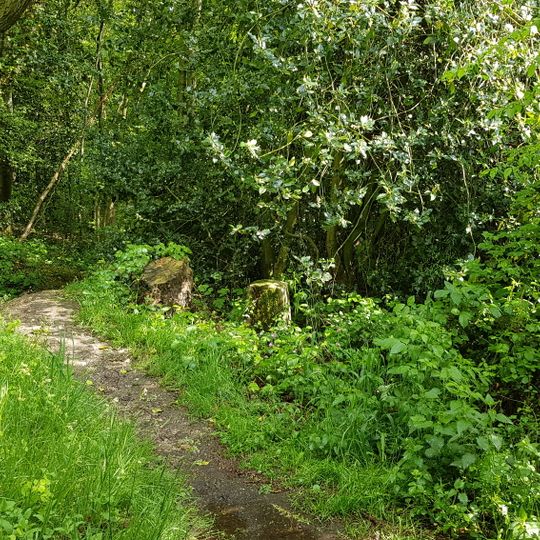Belgium-Netherlands boundary stone no. 6a