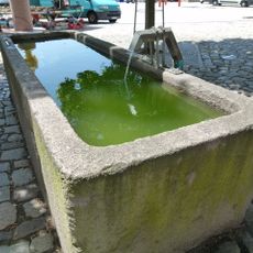 Rechteckiges Granitbecken mit Stadtwappen (Pferdetränke) Altmarkt