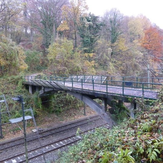 Concrete viaduct Schaloens Molenweg
