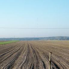 FM- and TV-mast Zygry