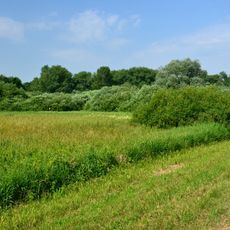 Mokřad pod Terezínskou pevností