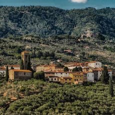 Borgo fortificato di Colle di Buggiano