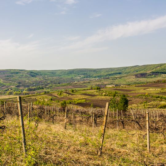 Dolna landscape reserve