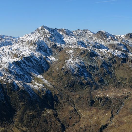 Westliche Salzachgeier