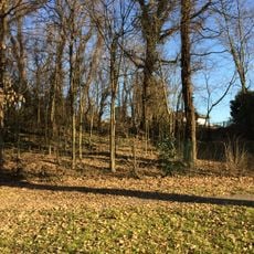 Parco Bosco dei Ronchi