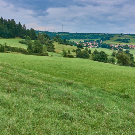 Quellhorizonte und Magerrasen am Albtrauf bei Niederhofen