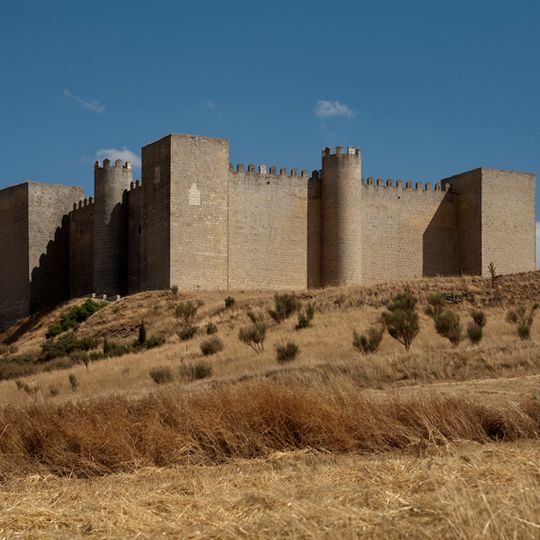 Castillo de Montealegre de Campos