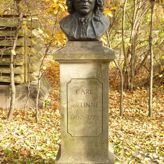Büstendenkmal Carl von Linné