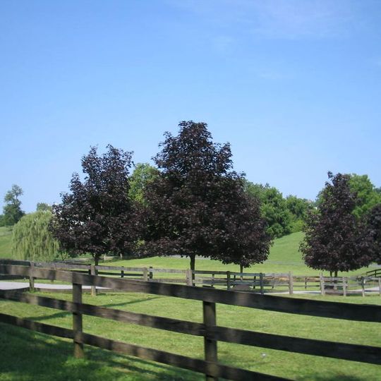 East Bradford Township