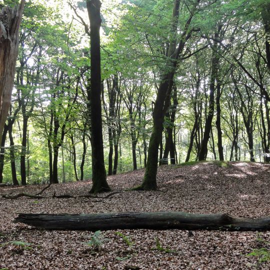 Terrein waarin 3 grafheuvels