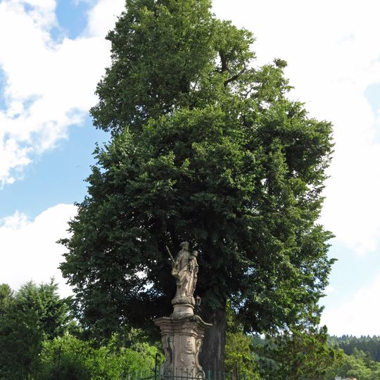 Mariánská lípa