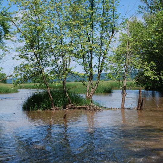 Avoca River-Bottom Prairie