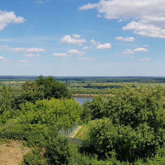 Елатомское городское поселение
