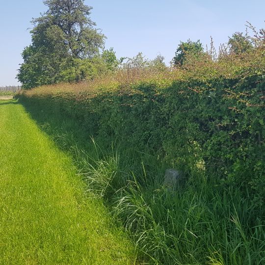 Belgium-Netherlands boundary stone no. 29a
