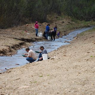 Discovery Claim on Pedro Creek