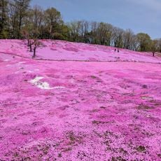 太陽の丘えんがる公園