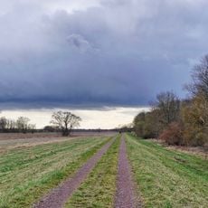 Saale-Elster-Aue bei Halle
