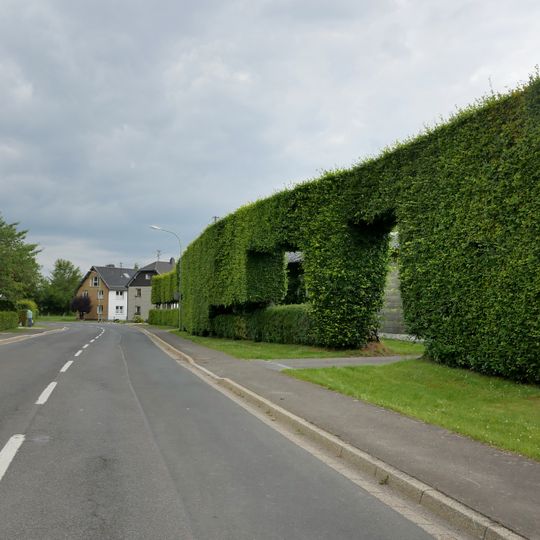 Wunderschöne Hecke am Ortseingang