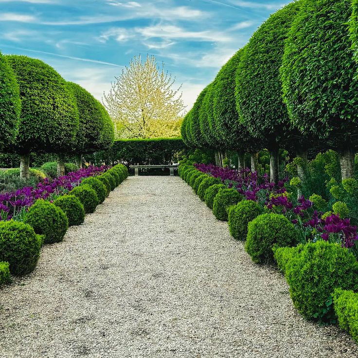 Jardin de l'Orangerie